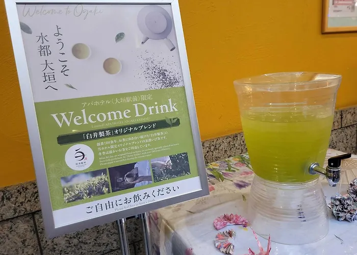 Apa Hotel Ogaki Ekimae